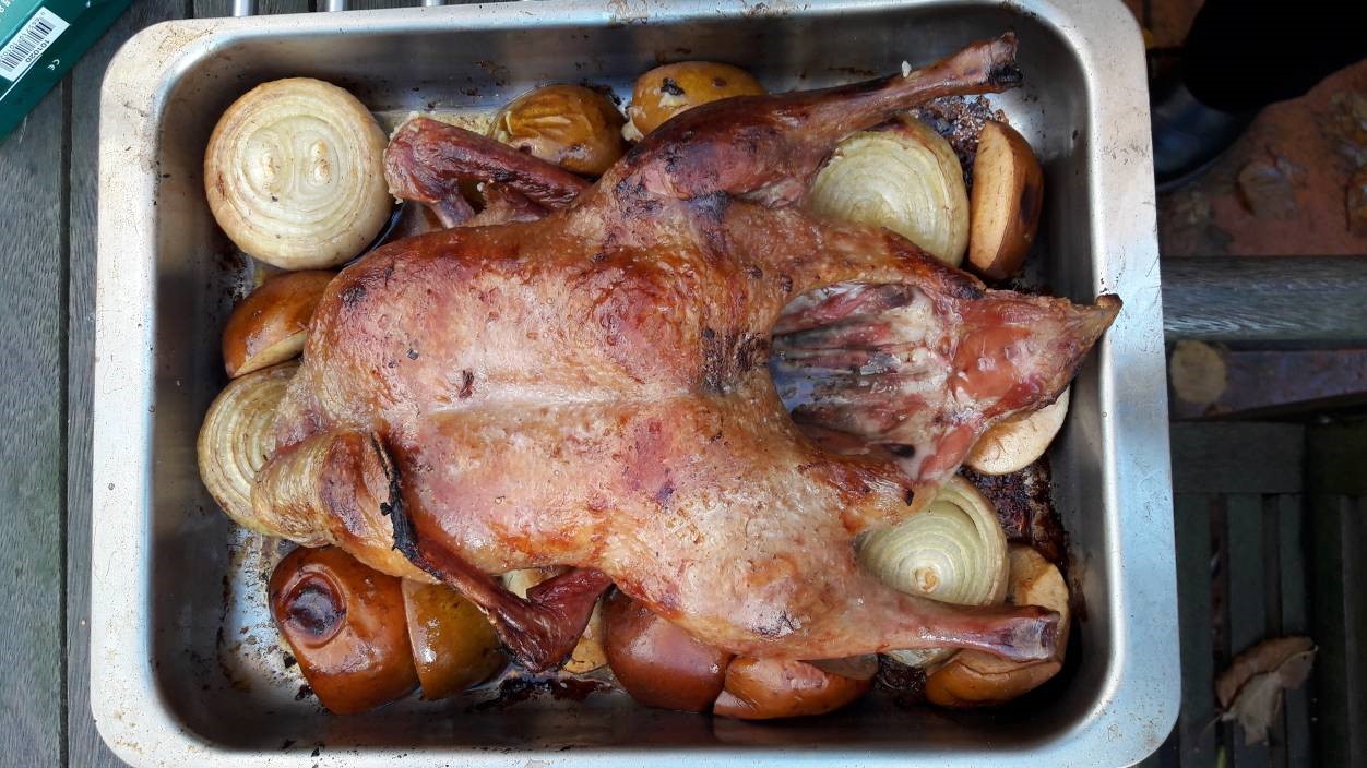 BigGreenEgg