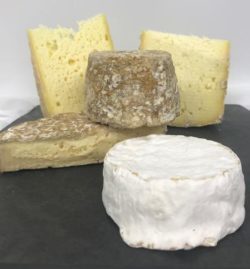artisan cheeses